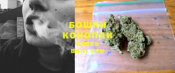 молекула духа Богданович
