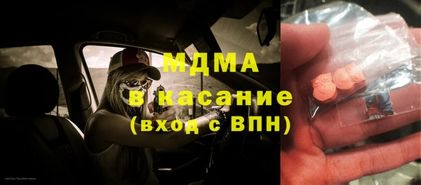 молекула духа Богданович