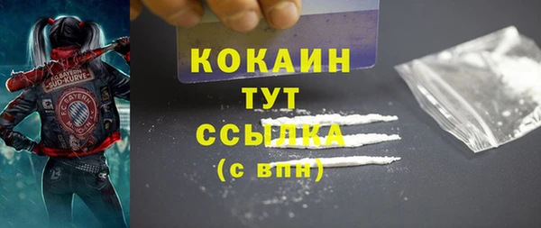 молекула духа Богданович