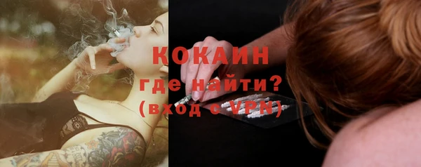 мдпв Семилуки
