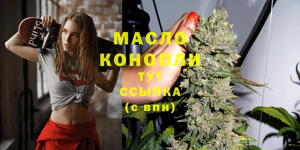 молекула духа Богданович