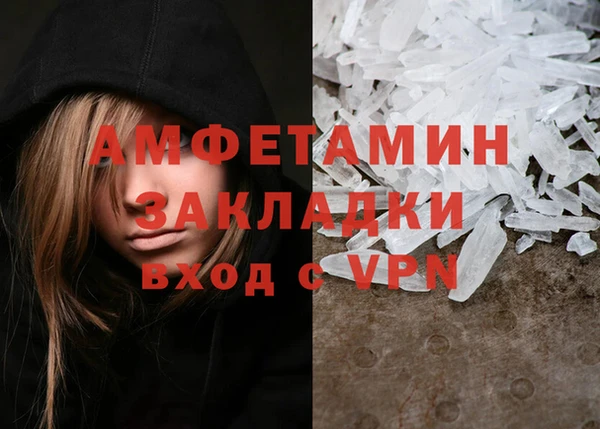 молекула духа Богданович