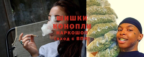 СК Богородицк