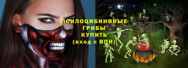 молекула духа Богданович
