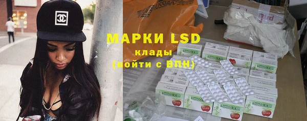 молекула духа Богданович