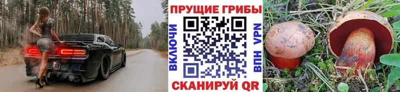 Псилоцибиновые грибы Psilocybe  Ворсма 